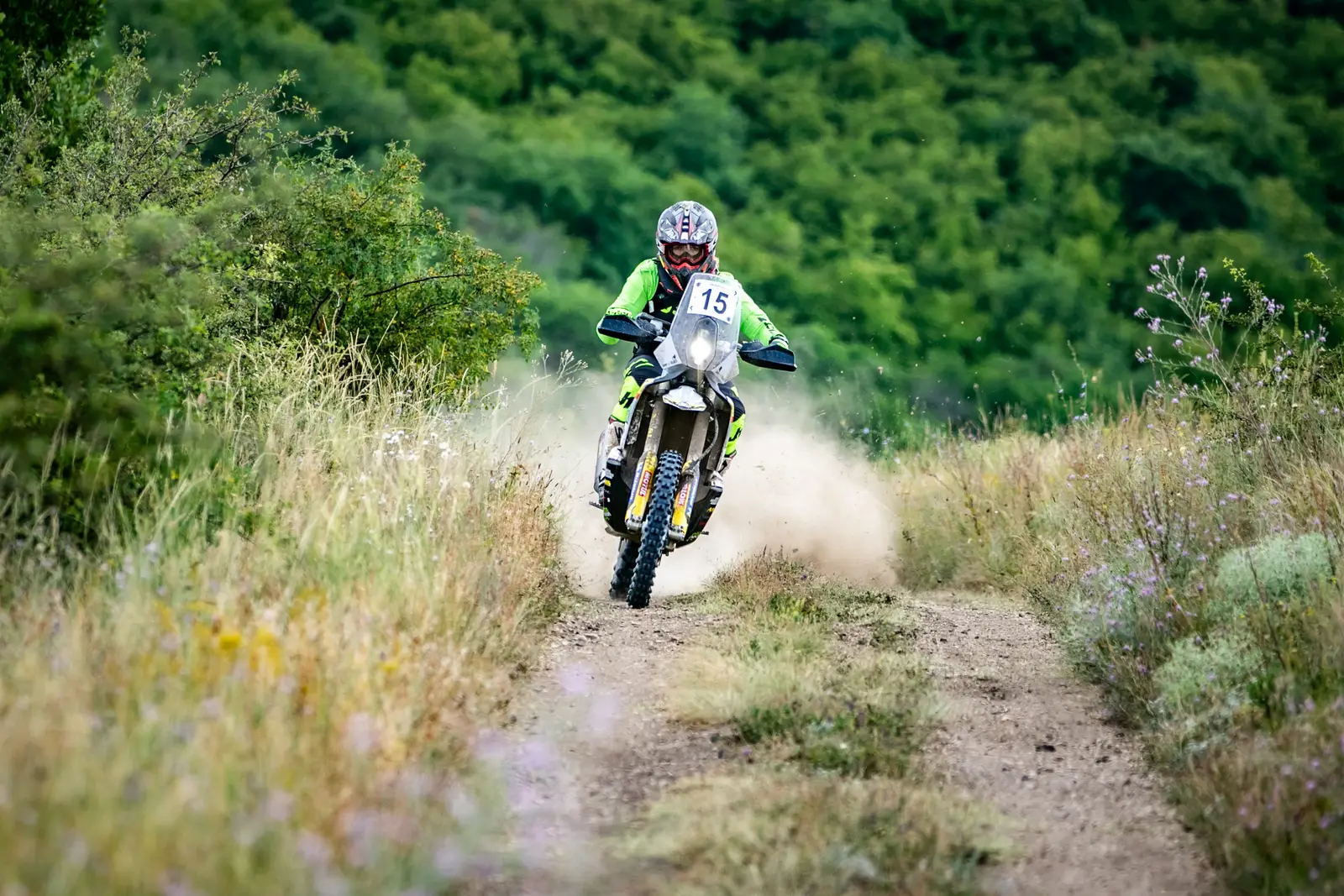 Rally stage in the mountains